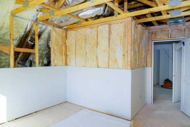 Best Geographic-Specific Insulation Services in Ames, IA