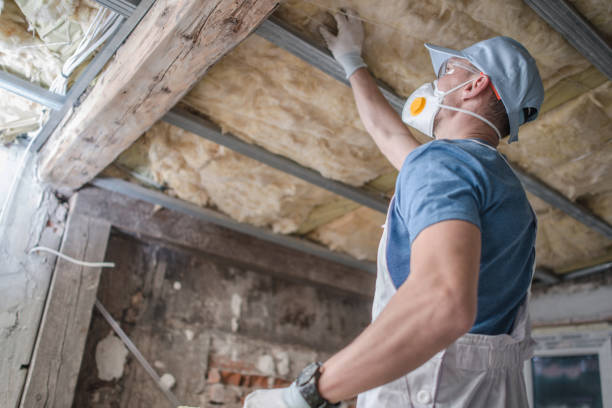 Best DIY Insulation Kits and Guidance in Ames, IA