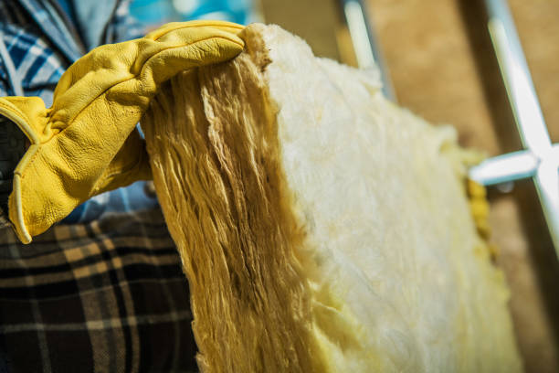 Best Specialized Insulation Services in Ames, IA